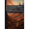 Report; Volume 3