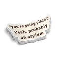 Asylum - Funny Laptop Stickers