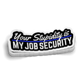 Stupidity Is My Job Security