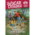 Mystery at Camp Survival - Paperback