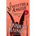 A Visitation of Angels - Paperback