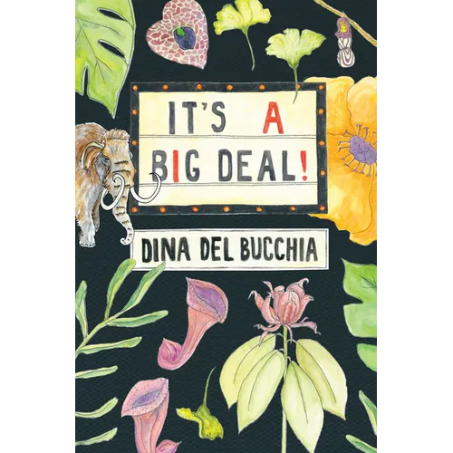 It's a Big Deal! - Paperback