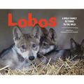 Lobos: A Wolf Family Returns to the Wild - Hardcover