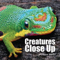 Creatures Close Up - Hardcover