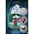 Too Bright to See: (Newbery Honor Award Winner) - Paperback
