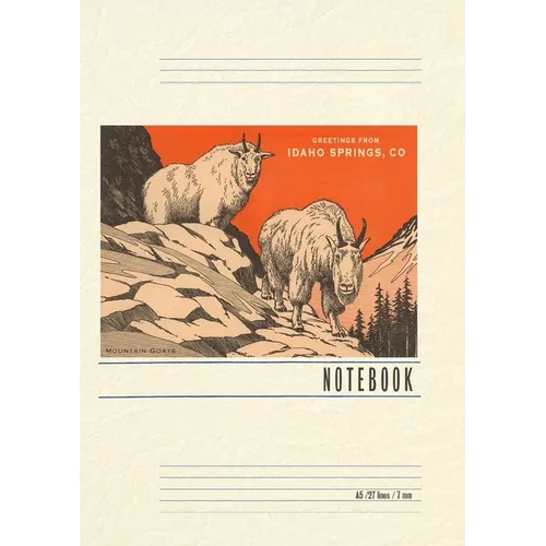 Vintage Lined Notebook Greetings from Idaho Springs - Paperback