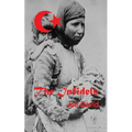 The Infidels