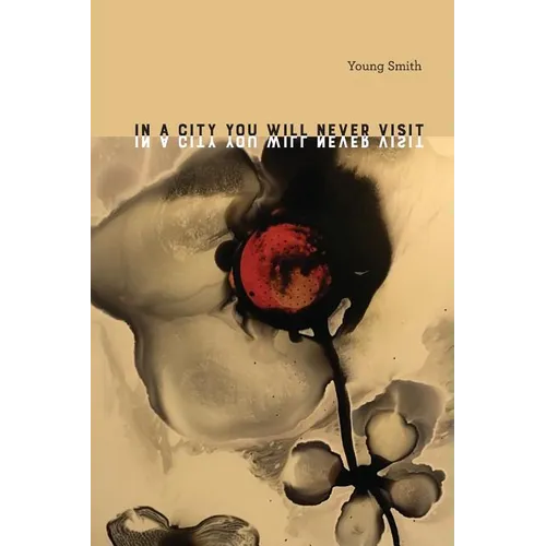 In a City You Will Never Visit - Paperback