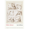 Public Abstract - Paperback
