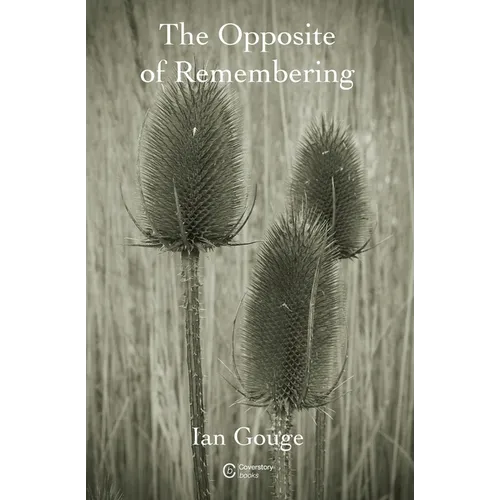 The Opposite of Remembering - Paperback