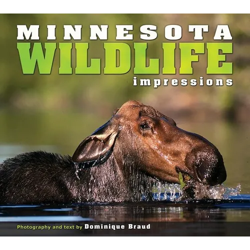 Minnesota Wildlife Impressions - Paperback