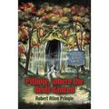 Pithole: Where the Devil Danced - Paperback