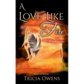 A Love Like Fire: High Fantasy M/M Romance - Paperback