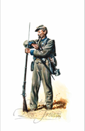 29th Alabama Infantry, Spring of 1864