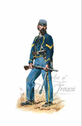 2nd Missouri Cavalry, Merrill Horse