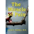 The Miracle of Pain - Paperback