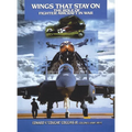 Wings That Stay on: The Role of Fighter Aircraft in War