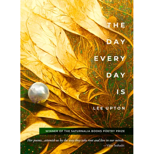 The Day Every Day Is - Paperback