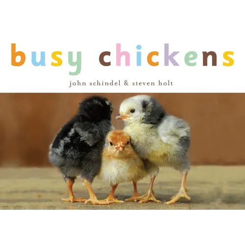 Busy Chickens - Board Book