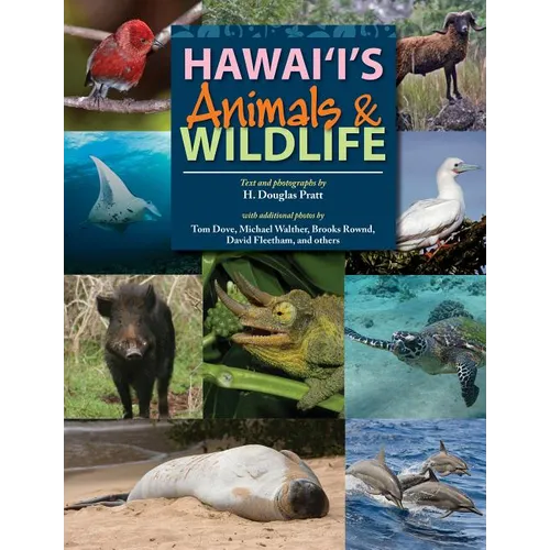 Hawaii's Animals & Wildlife - Paperback