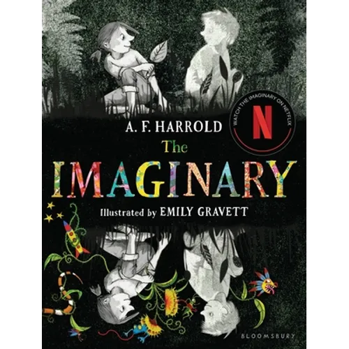 The Imaginary: An Unforgettable Story of Friendship - Hardcover