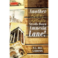 Another Baby Boomer Strolls Down Amnesia Lane! - Paperback
