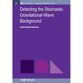 Detecting the Stochastic Gravitational-Wave Background - Paperback