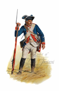 Musketeer Regiment Von Mirbach, 1776