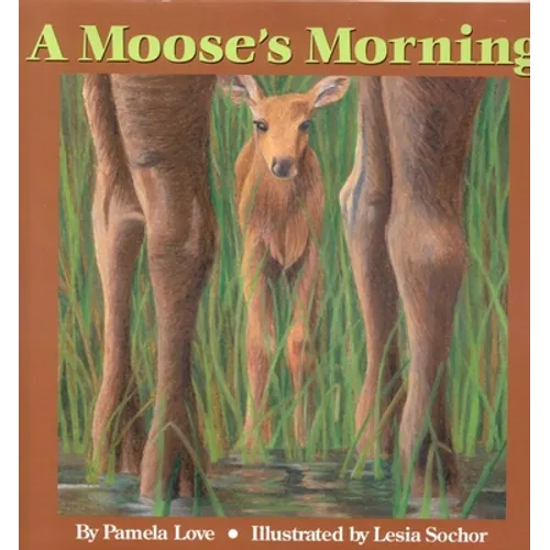 A Moose's Morning - Hardcover