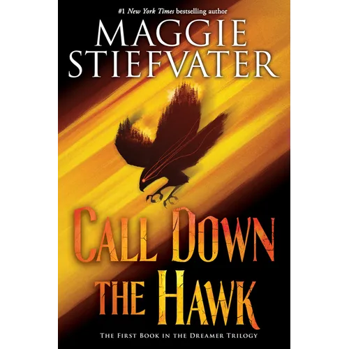Call Down the Hawk (the Dreamer Trilogy, Book 1) - Paperback