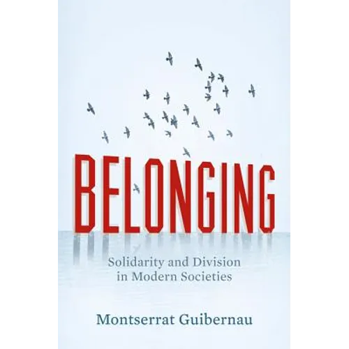 Belonging: Solidarity and Division in Modern Societies - Paperback