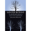 Winter Botany - Paperback