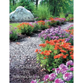 The River Edge 9/11 Memorial Gardens - Paperback