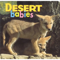 Desert Babies - Board Book