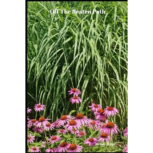 Off The Beaten Path: 4 year Blood Glucose Tracker - Paperback