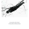 Charles Ray: Figure Ground - Paperback