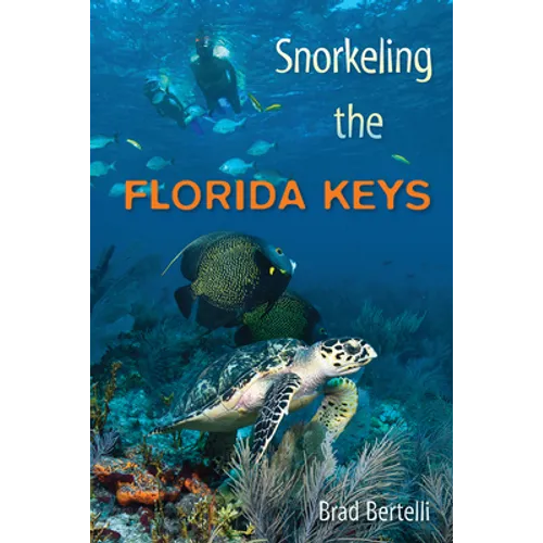 Snorkeling the Florida Keys