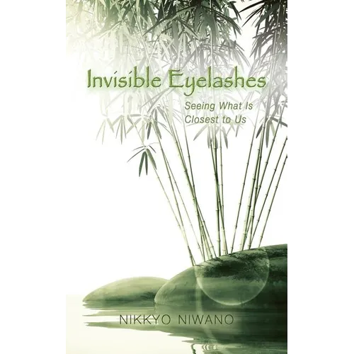 Invisible Eyelashes: Seeing What Is Closest to Us - Paperback