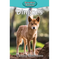 Dingoes - Paperback