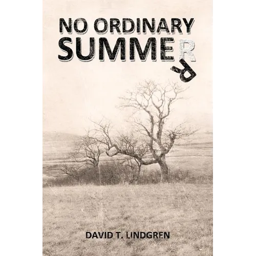 No Ordinary Summer