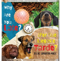 Why Are You Late? - Hardcover