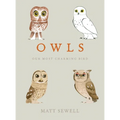 Owls: Our Most Charming Bird - Hardcover
