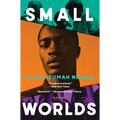 Small Worlds - Hardcover