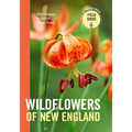 Wildflowers of New England - Paperback