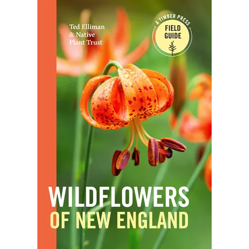 Wildflowers of New England - Paperback