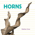 Horns - Board Book