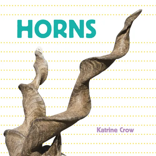 Horns - Board Book