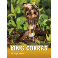 King Cobras - Paperback