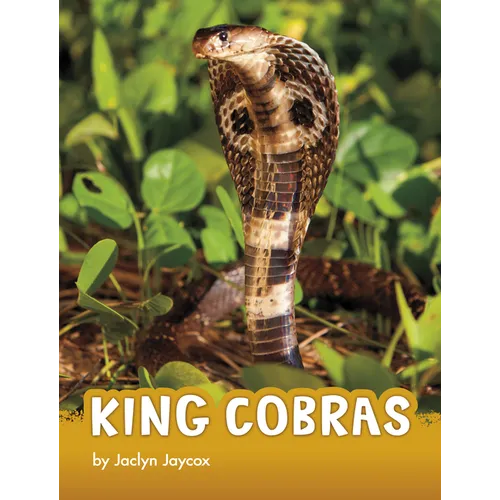 King Cobras - Paperback