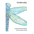 Wednesday - Paperback